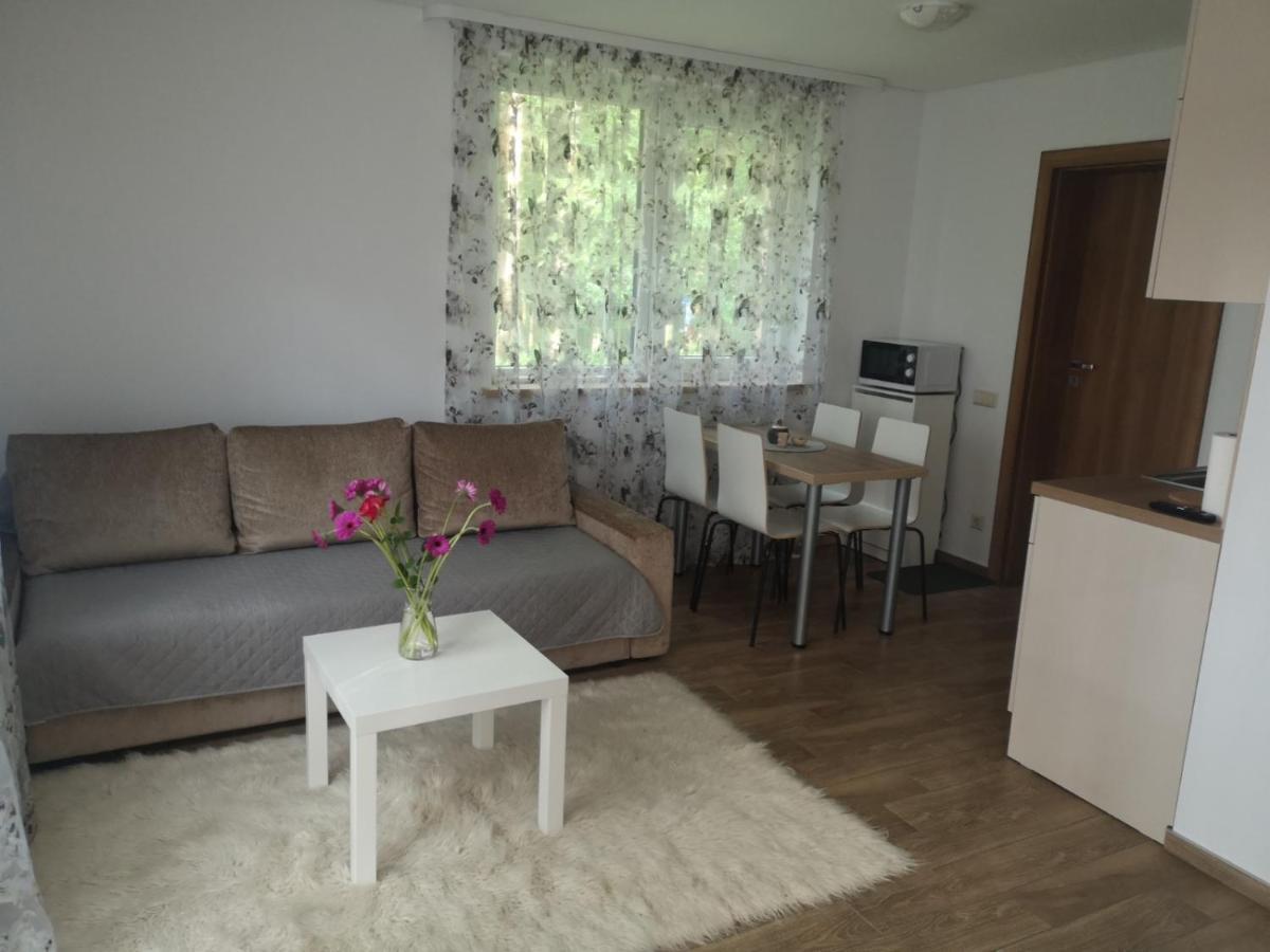 Kristinos Apartment Druskininkai Exterior foto