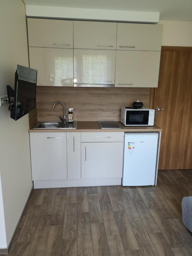 Kristinos Apartment Druskininkai Exterior foto