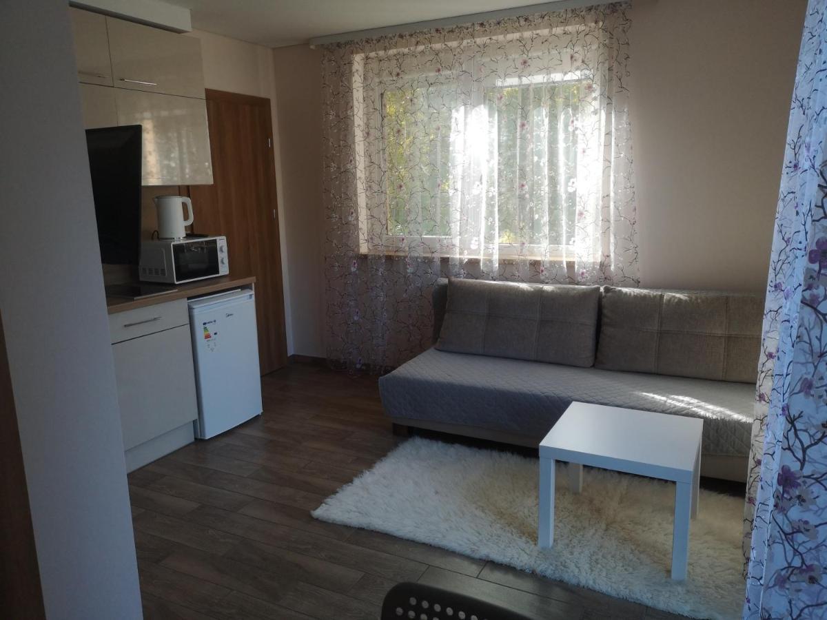 Kristinos Apartment Druskininkai Exterior foto
